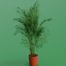 ikea_plant_dypsis_lutescens