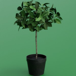 ikea_plant_fejka_ficus_benjamina_12cm
