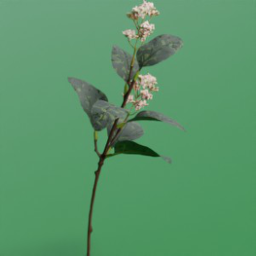 ikea_plant_smycka_eucalipto_rosa_30cm