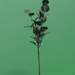 ikea_plant_smycka_eucalipto_verde_65cm
