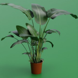 ikea_plant_strelitzia_27cm