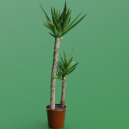 ikea_plant_yucca_elephantipes_24cm