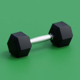 technogym_hexagon_dumbbell_10lb