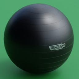 technogym_wellness_ball_training_black_65