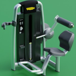 technogym_lower_back_med