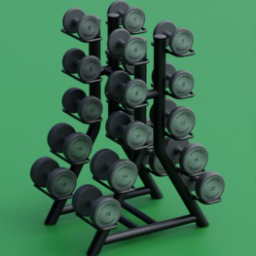 technogym_vertical_dumbbells_rack_10_pairs