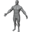 MaleMuscularBaseMesh