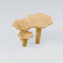 Chanterelle01