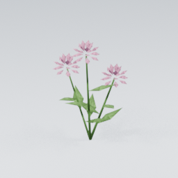 CloverFlower01