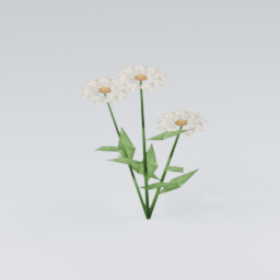 Daisy01