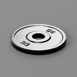 Weight Disk 10LB
