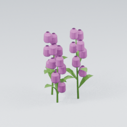 Foxglove01