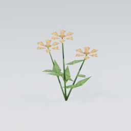 GoldenFlower01