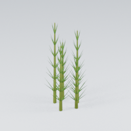 Horsetail01
