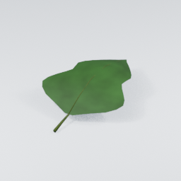 IvySprig01