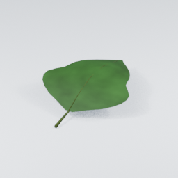 IvySprig02