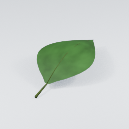 IvySprig03