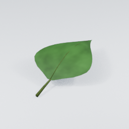 IvySprig04