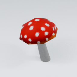 KF_Amanita_Muscaria_5