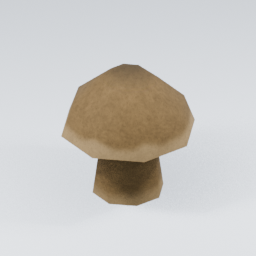 KF_Bolete_1