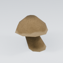 KF_Bolete_2