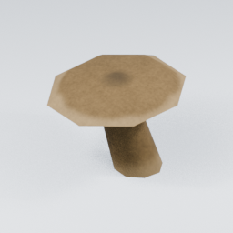 KF_Bolete_4