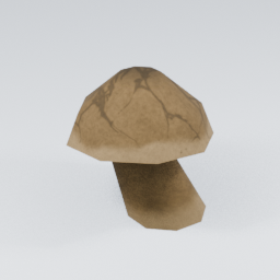 KF_Bolete_Cracked_2