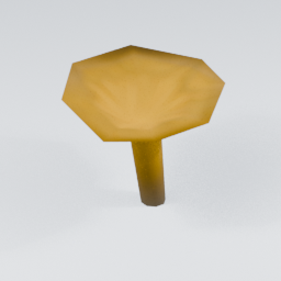 KF_Chanterelle_2