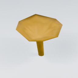 KF_Chanterelle_3