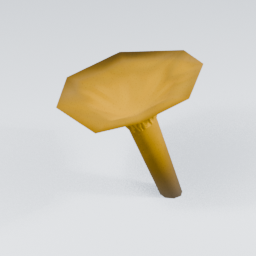 KF_Chanterelle_6