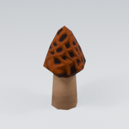KF_Morel_Red_1