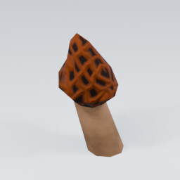 KF_Morel_Red_2