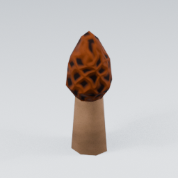 KF_Morel_Red_3