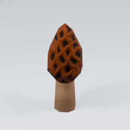 KF_Morel_Red_4