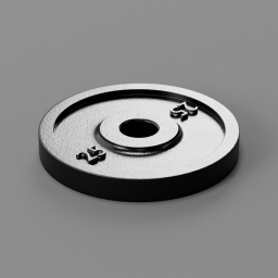 Weight Disk 25LB