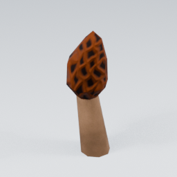 KF_Morel_Red_5