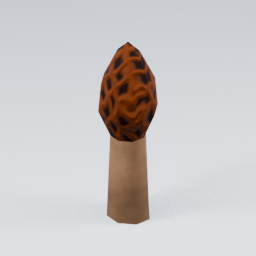 KF_Morel_Red_6