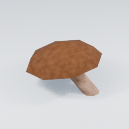 KF_Shiitake_2