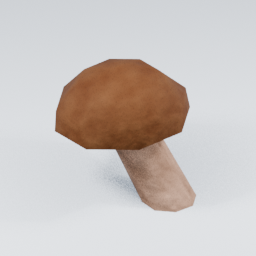 KF_Shiitake_4