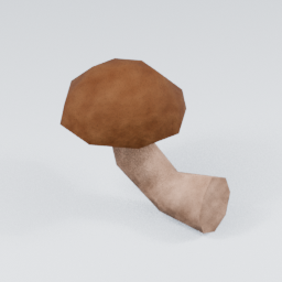 KF_Shiitake_Side_2