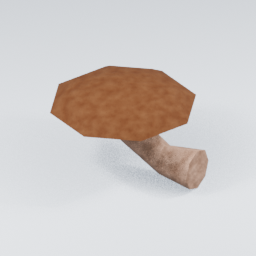KF_Shiitake_Side_3