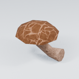 KF_Shiitake_Side_Cracked_1