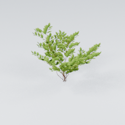 KK_Bush_1_C
