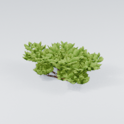 KK_Bush_1_G