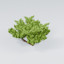 KK_Bush_2_E