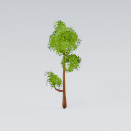 KK_Tree_6_C