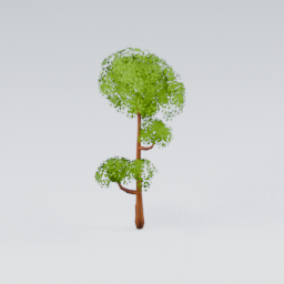 KK_Tree_7_C