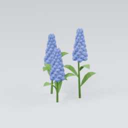 Lupine01