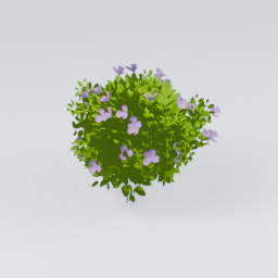 QM_Bush_Common_Flowers