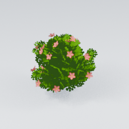 QM_Bush_Large_Flowers